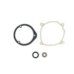 Gasket repair kit