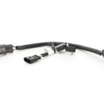 Wire harness with Fuse
